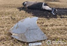 Над Вінниччиною збили крилату ракету Х-101: вибухотехніки поліції знешкодили її уламки