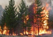 Більшість районів Вінниччини накриє надзвичайний рівень пожежної небезпеки
