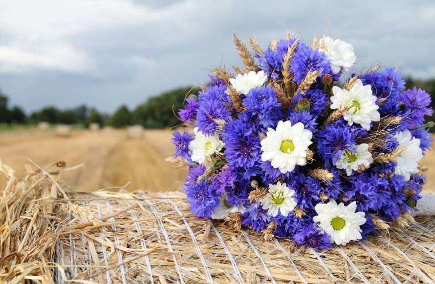 Прогноз погоди у Вінниці 11 серпня