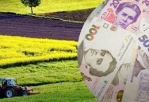 Вінничанка приховала понад 4,6 млн грн податків під час продажу земельних ділянок