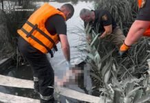 На Вінниччині у ставку потонув 69-річний чоловік