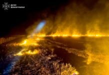 Через людську недбалість на Вінниччині за день сталося 16 пожеж в екосистемах