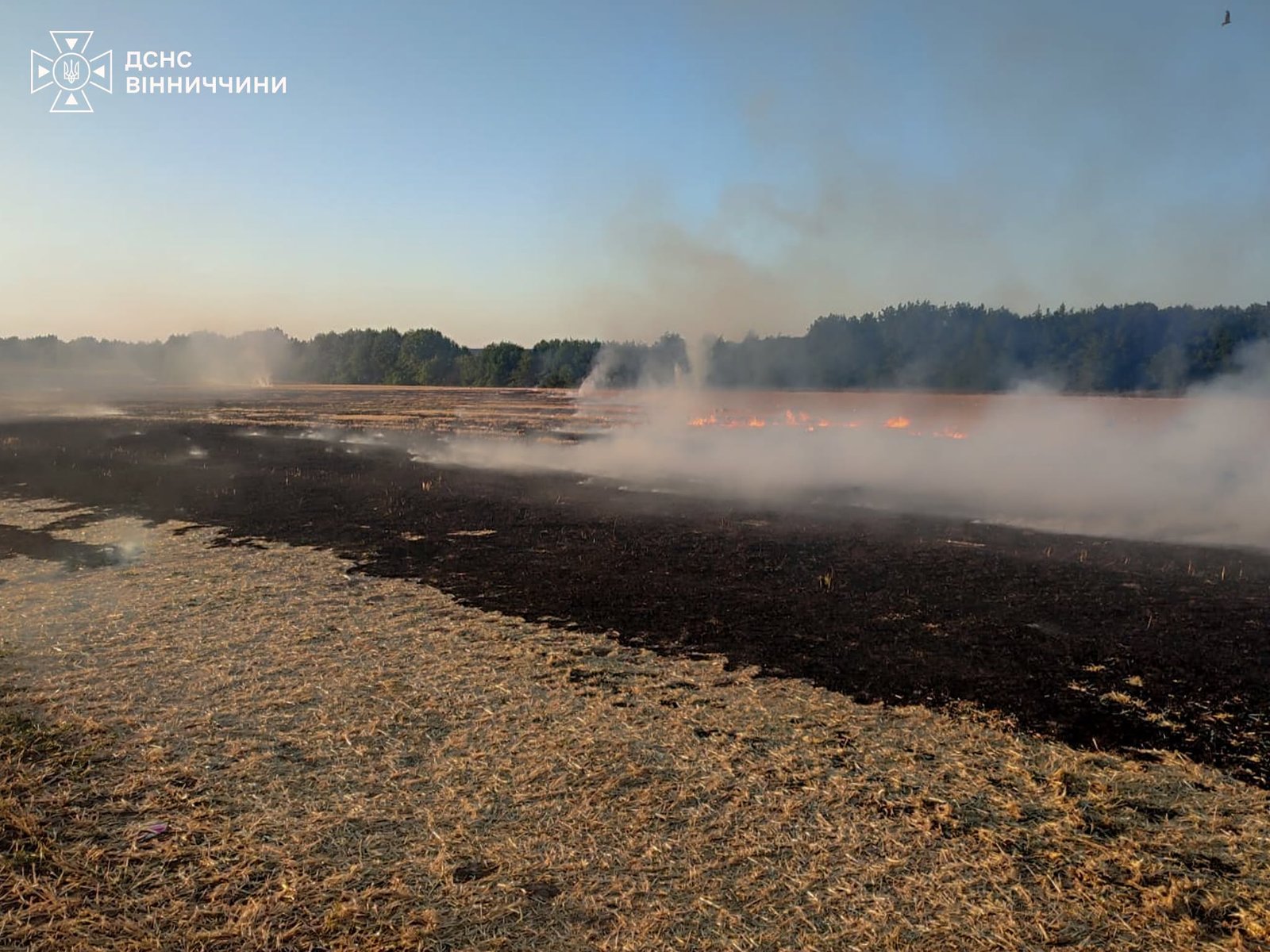 На Вінниччині дитячі ігри з вогнем спричинили пожежу