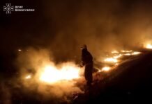 Горіли сухостій і житлові будинки: що відомо про пожежі на Вінниччині