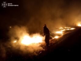 Горіли сухостій і житлові будинки: що відомо про пожежі на Вінниччині