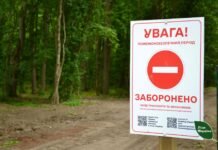 На Вінниччині посилили патрулювання лісів: за 10 днів оштрафували 5 порушників
