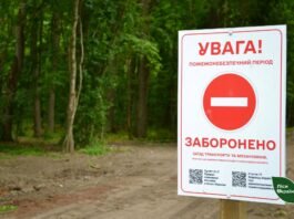 На Вінниччині посилили патрулювання лісів: за 10 днів оштрафували 5 порушників