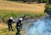 17 пожеж за добу та понад 9 га згарища: на Вінниччині горить екосистема, у Бершадській громаді згорів автомобіль