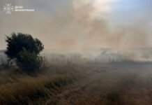 Пожежа через недопалок: на Вінниччині вогонь пошкодив господарську споруду