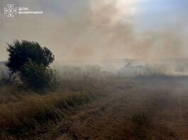 Пожежа через недопалок: на Вінниччині вогонь пошкодив господарську споруду