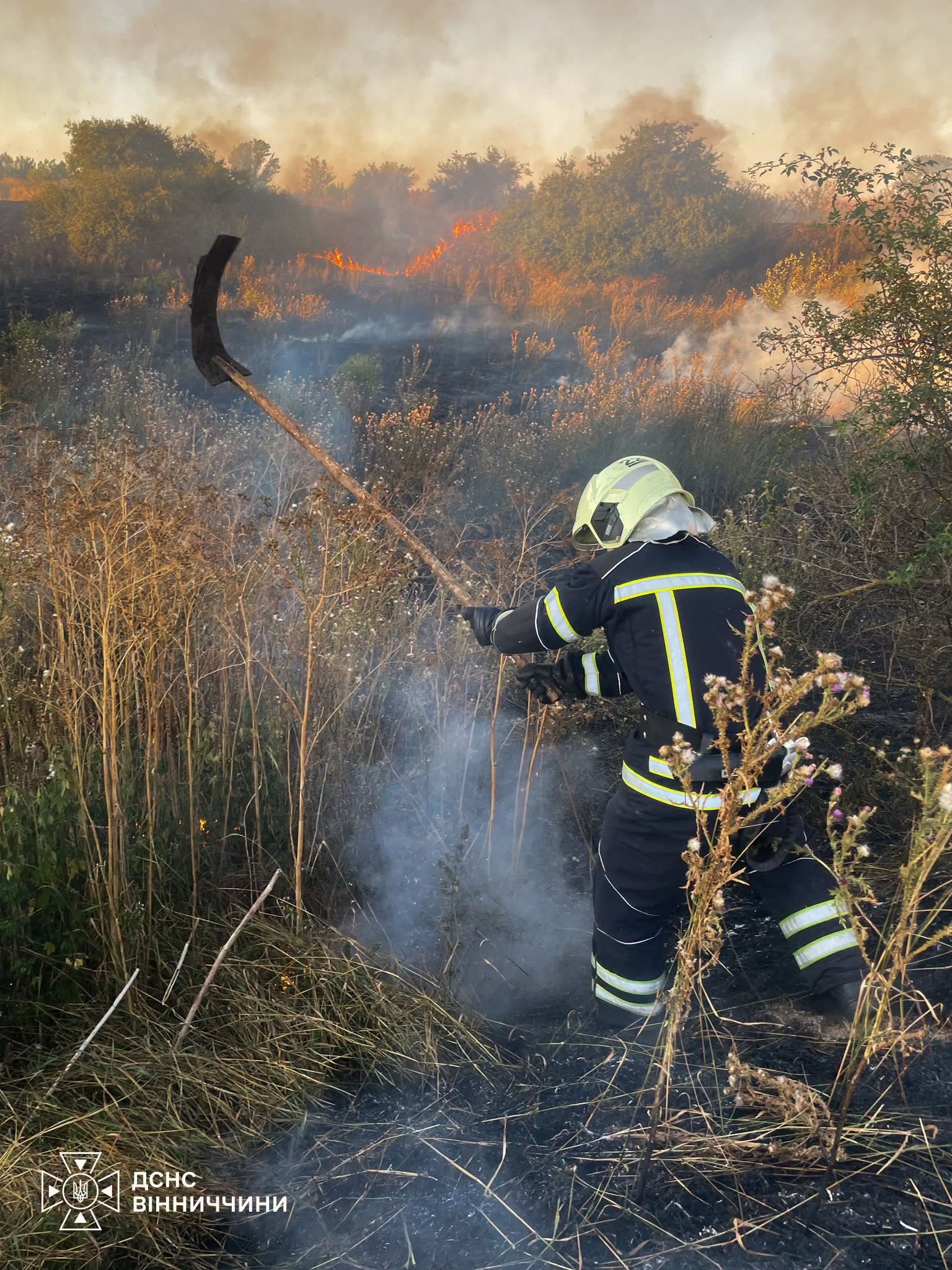 Понад 446 гектарів уже вигоріло: на Вінниччині зростає кількість пожеж в...