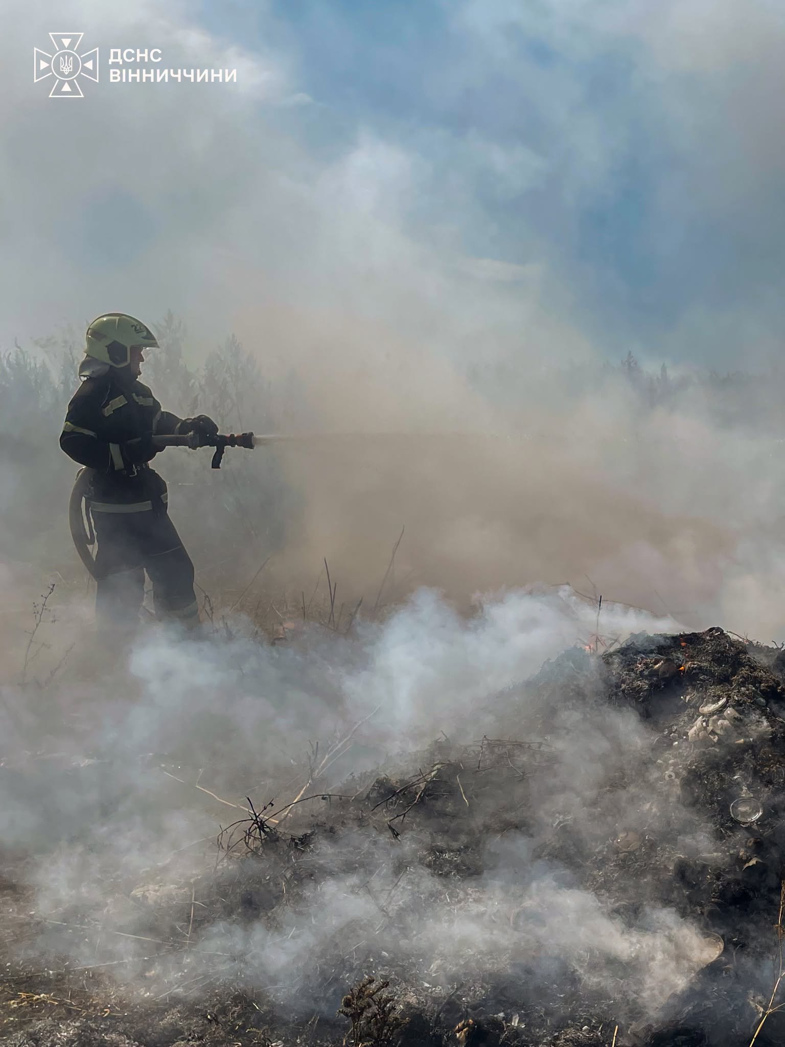 Понад 446 гектарів уже вигоріло: на Вінниччині зростає кількість пожеж в...