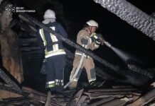 Необережність ледь не спричинила пожежу в будинку: на Вінниччині рятувальники ліквідували 4 займання