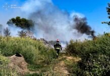 26 пожеж за добу: на Вінниччині горіли майже 8 гектарів