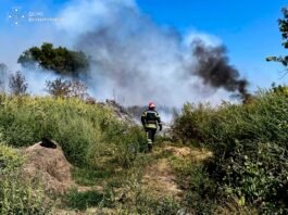 26 пожеж за добу: на Вінниччині горіли майже 8 гектарів