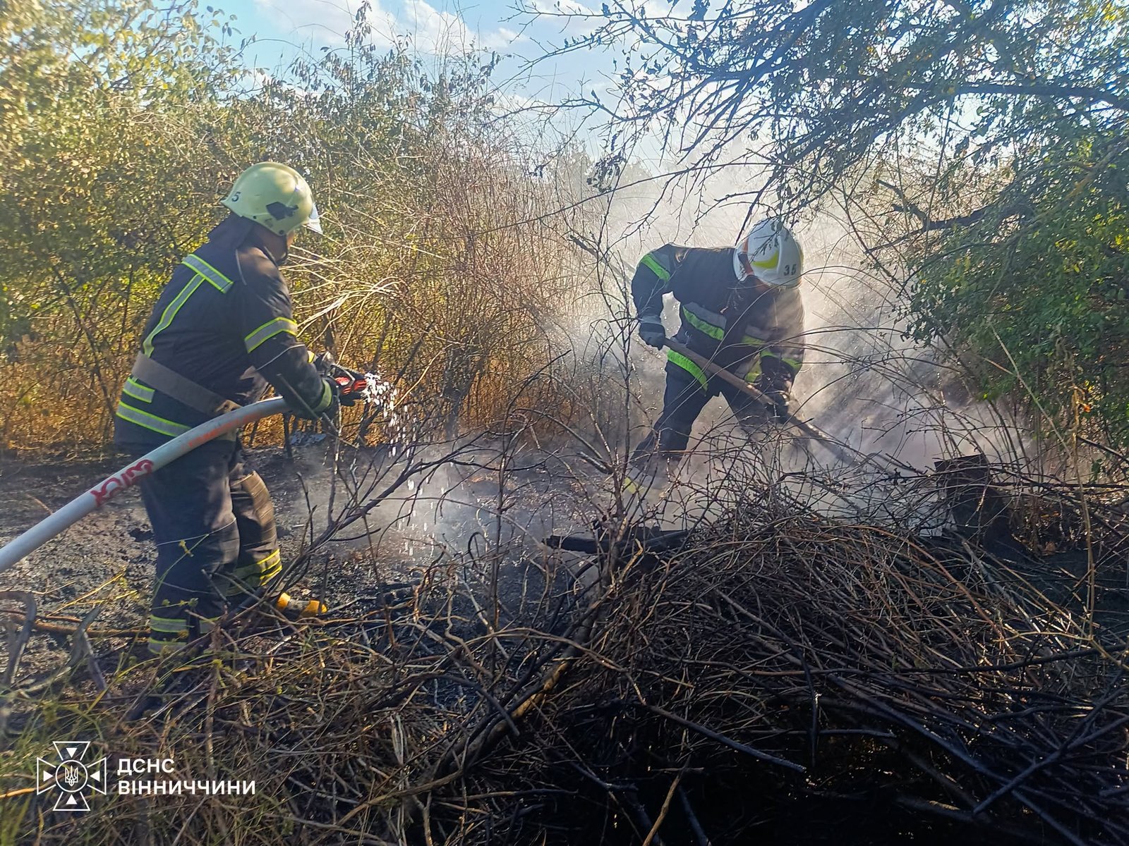 Понад 446 гектарів уже вигоріло: на Вінниччині зростає кількість пожеж в...