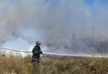 18 пожеж за добу та майже 5 гектарів вигорілої землі: де на Вінниччині сталися загоряння
