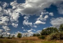 Прогноз погоди у Вінниці 20 серпня