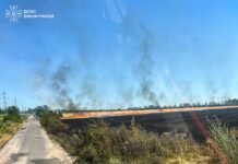 Понад 12 гектарів землі згоріло на Вінниччині через людську недбалість