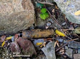 На Вінниччині під час земляних робіт знайшли протипіхотну гранату часів Другої світової війни