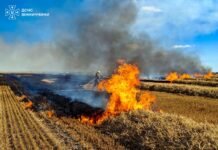 Понад 9 гектарів сухої рослинності згоріли на Вінниччині