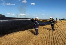 На Вінниччині вогонь охопив понад 4 гектари сухостою