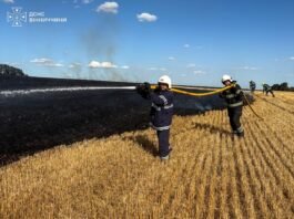 На Вінниччині вогонь охопив понад 4 гектари сухостою