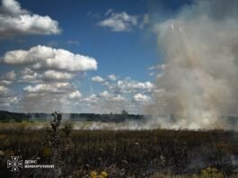 Горіла стерня та будинок: на Вінниччині за добу сталося 10 пожеж
