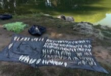 На Вінниччині браконьєр наловив риби на понад 382 тисячі гривень