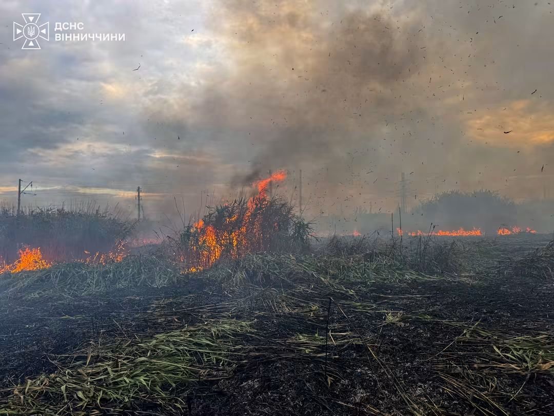 2500 пожеж від початку року: на Вінниччині рятувальники назвали головну причину...