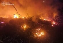 На Вінниччині вогонь охопив понад 4 гектари