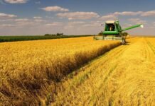 На Вінниччині аграрії намолотили понад 2,4 мільйона тонн зерна