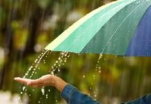 У Вінниці 22 серпня очікується спека до +34°C та дощ увечері