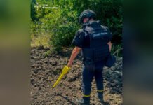 На Вінниччині під час земляних робіт виявили два артснаряди