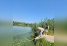 Південний Буг у Вінниці позеленів: екологи пояснили, що відбувається з водою