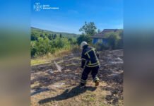 На Вінниччині дитячі ігри з вогнем спричинили пожежу