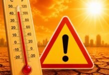 Спекотна середа у Вінниці: синоптики прогнозують до +37°C без дощу