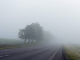 Туман та низька видимість: на Вінниччині оголосили жовтий рівень небезпеки