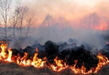 На Вінниччині 1–3 жовтня зберігатиметься підвищена пожежна небезпека