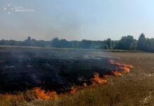 Вогонь охопив чотири райони: на Вінниччині за добу ліквідували 9 пожеж