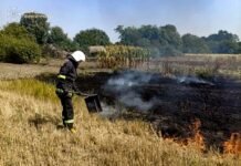 На Вінниччині рятувальники закликають не спалювати суху рослинність і сміття
