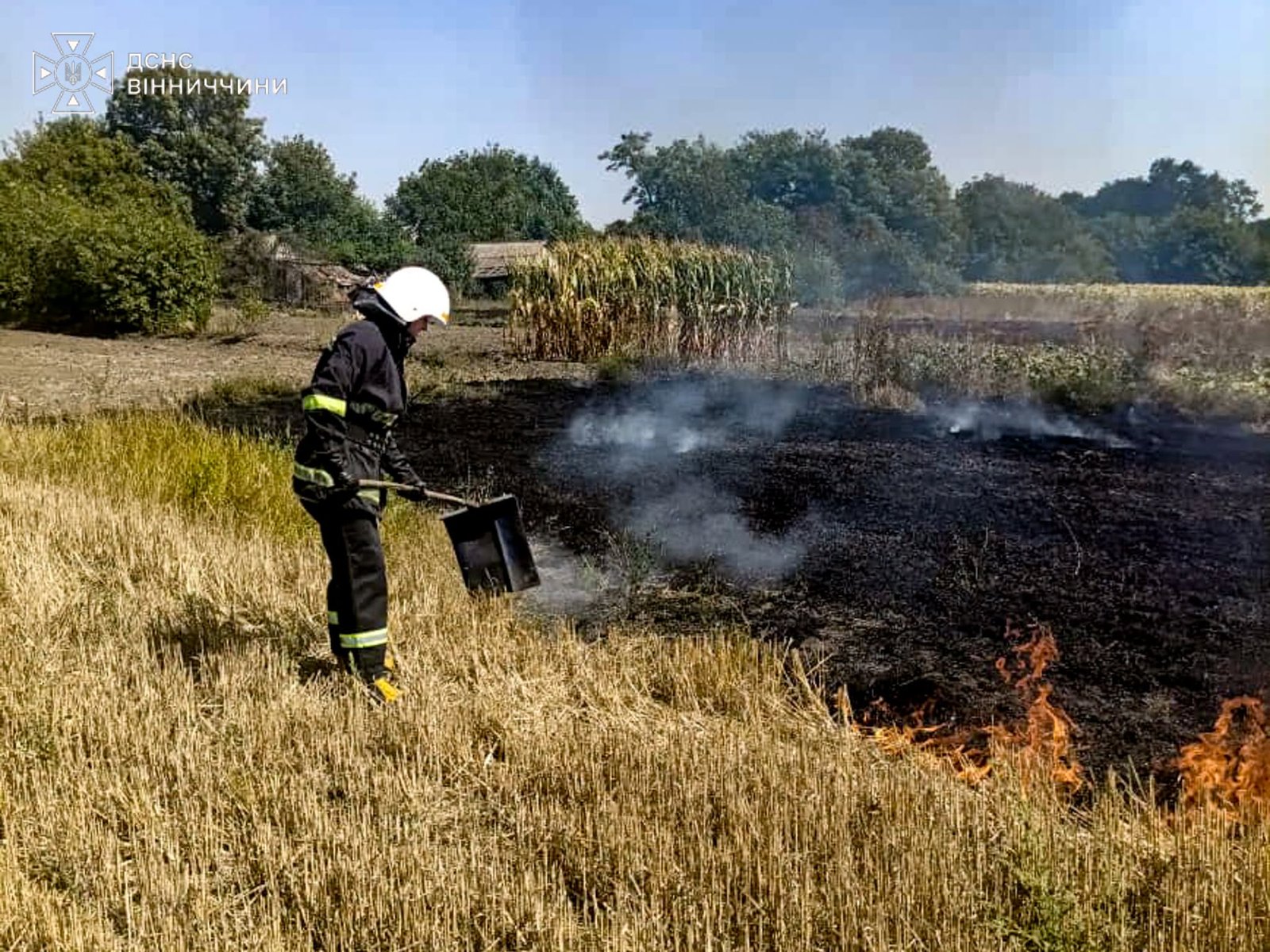 На Вінниччині рятувальники закликають не спалювати суху рослинність і сміття