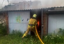 7 пожеж за добу на Вінниччині: вогонь знищив 3 гектари сушняку, палали гараж і легковик