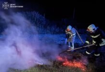 Недопалок — і пожежа: на Вінниччині за добу горіли відкриті території в усіх районах