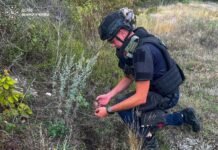 На Вінниччині сапери знищили мінометну міну часів Другої світової війни