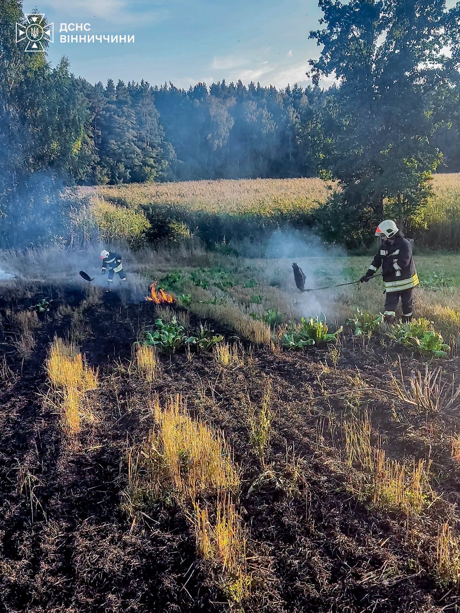 Коротке замикання, несправна піч та необережність: де на Вінниччині сталися пожежі