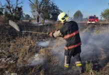 За добу на Вінниччині виникло 11 пожеж: рятувальники гасили суху траву та займання в автошколі