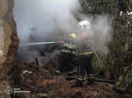 На Вінниччині горіли господарська будівля та горище будинку