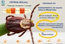 Хвороба Лайма на Вінниччині: у серпні зареєстрували 76 випадків інфікування
