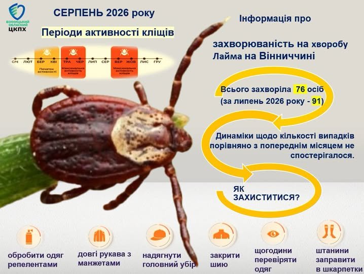 Хвороба Лайма на Вінниччині: у серпні зареєстрували 76 випадків інфікування